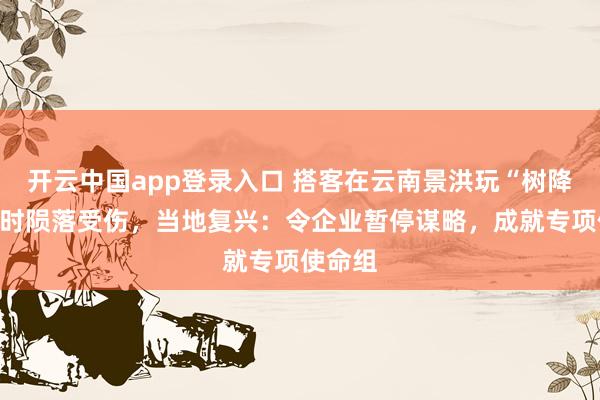 开云中国app登录入口 搭客在云南景洪玩“树降”技俩时陨落受伤，当地复兴：令企业暂停谋略，成就专项使命组