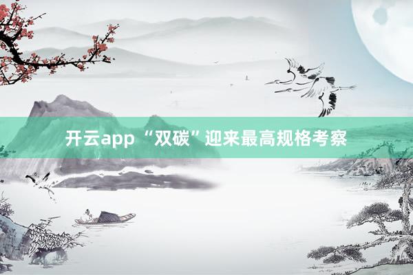 开云app “双碳”迎来最高规格考察