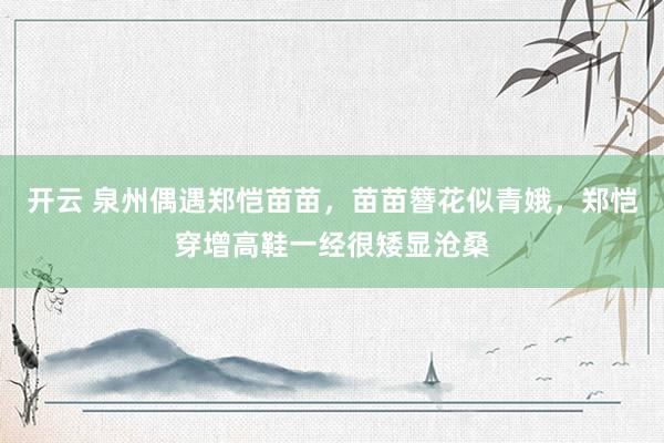开云 泉州偶遇郑恺苗苗，苗苗簪花似青娥，郑恺穿增高鞋一经很矮显沧桑