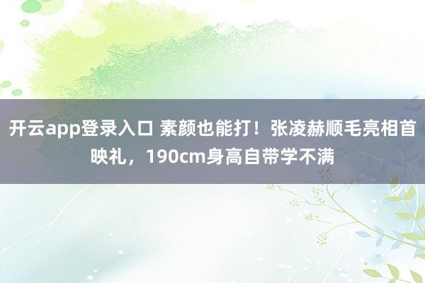 开云app登录入口 素颜也能打！张凌赫顺毛亮相首映礼，190cm身高自带学不满